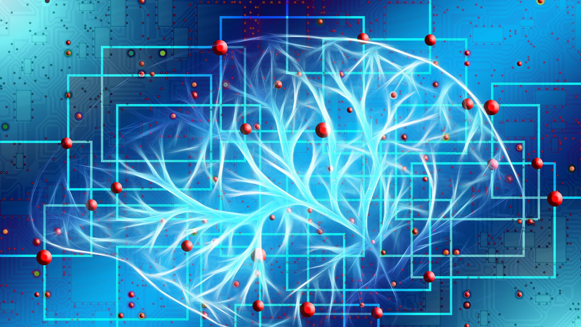 Image by Gerd Altmann from Pixabay