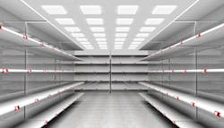 Sf Primary 5f36d79708ad6 Sf Primary 5f36d79708ad6