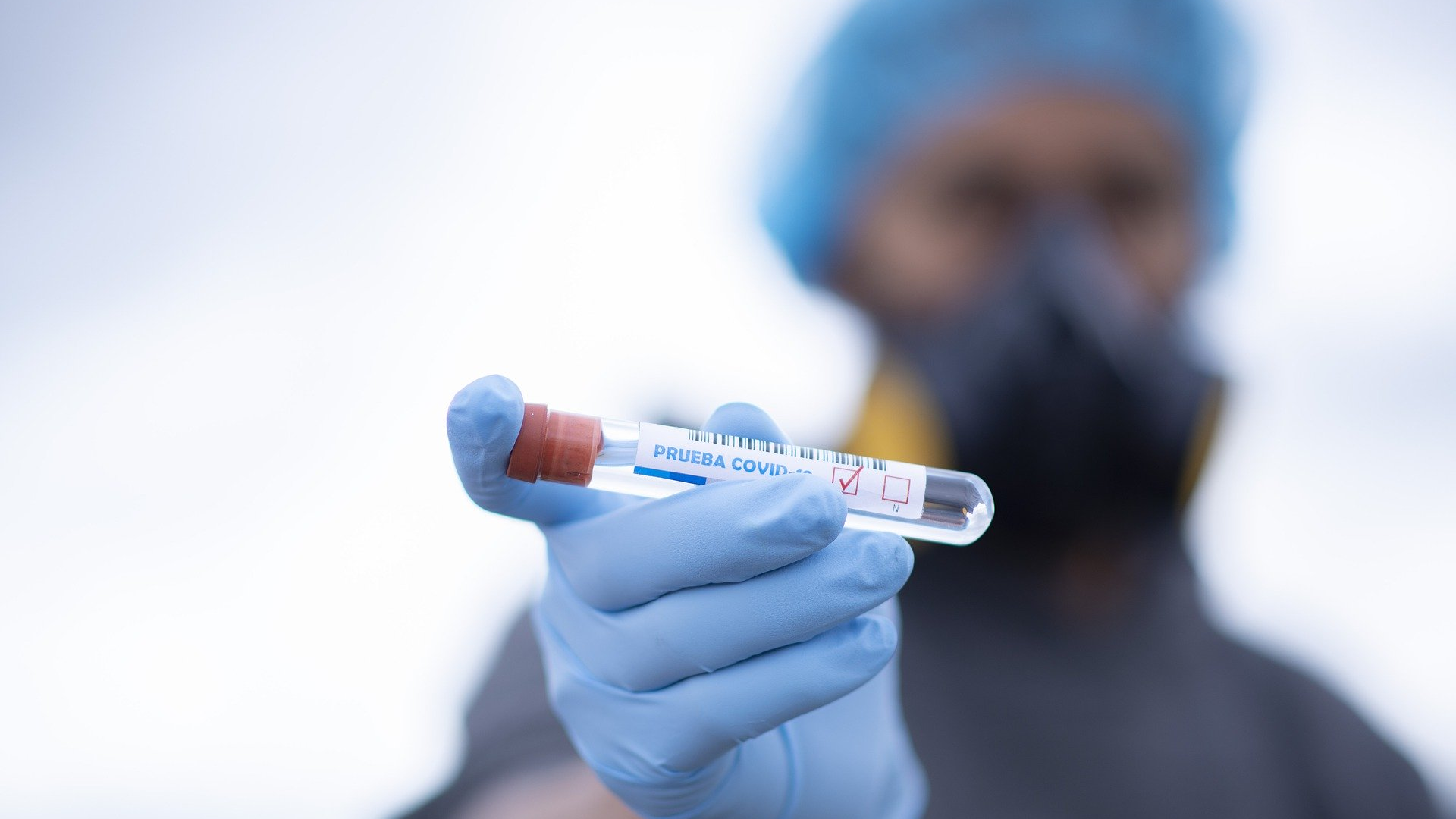 Image by fernando zhiminaicela from Pixabay