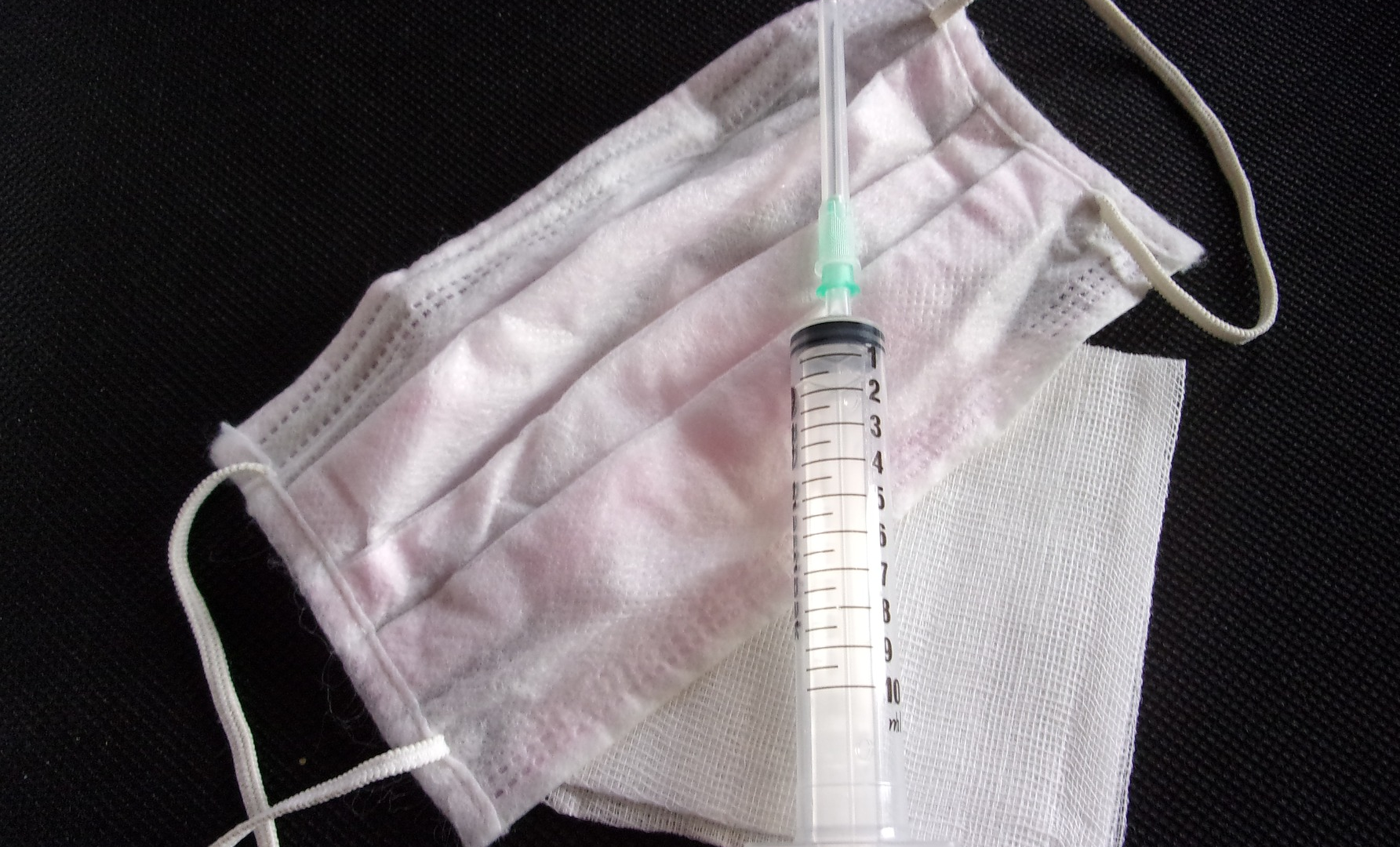 Image by Gyna Liard from Pixabay