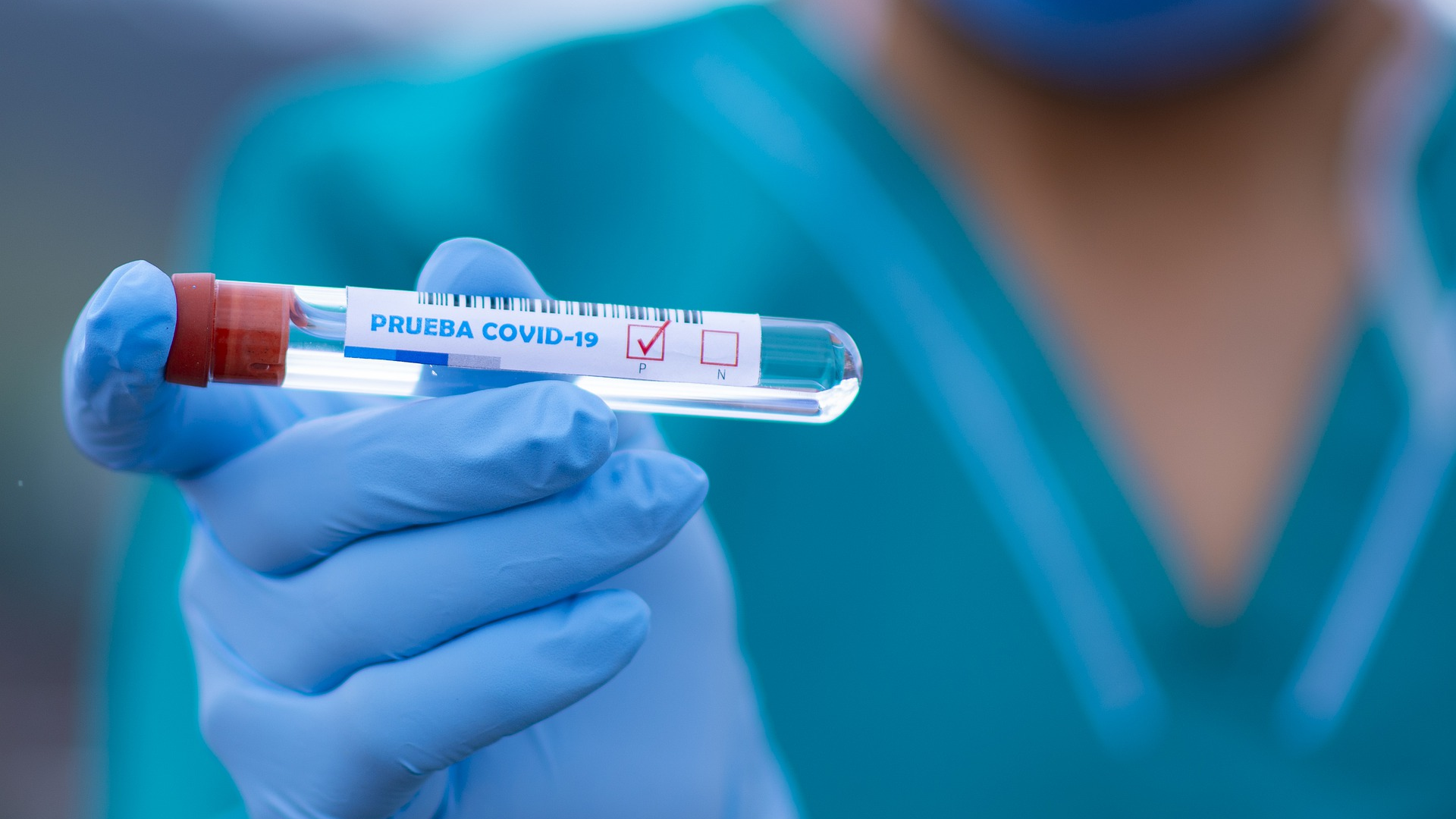 Image by fernando zhiminaicela from Pixabay