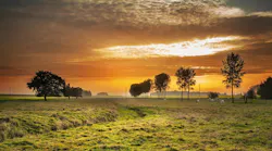Image by Free-Photos from Pixabay