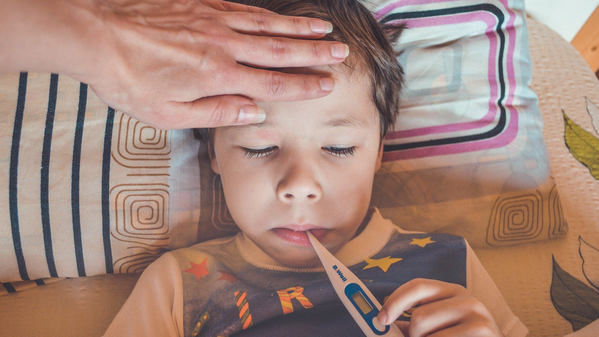 Image by &Vcy;&icy;&kcy;&tcy;&ocy;&rcy;&icy;&yacy; &Bcy;&ocy;&rcy;&ocy;&dcy;&icy;&ncy;&ocy;&vcy;&acy; from Pixabay