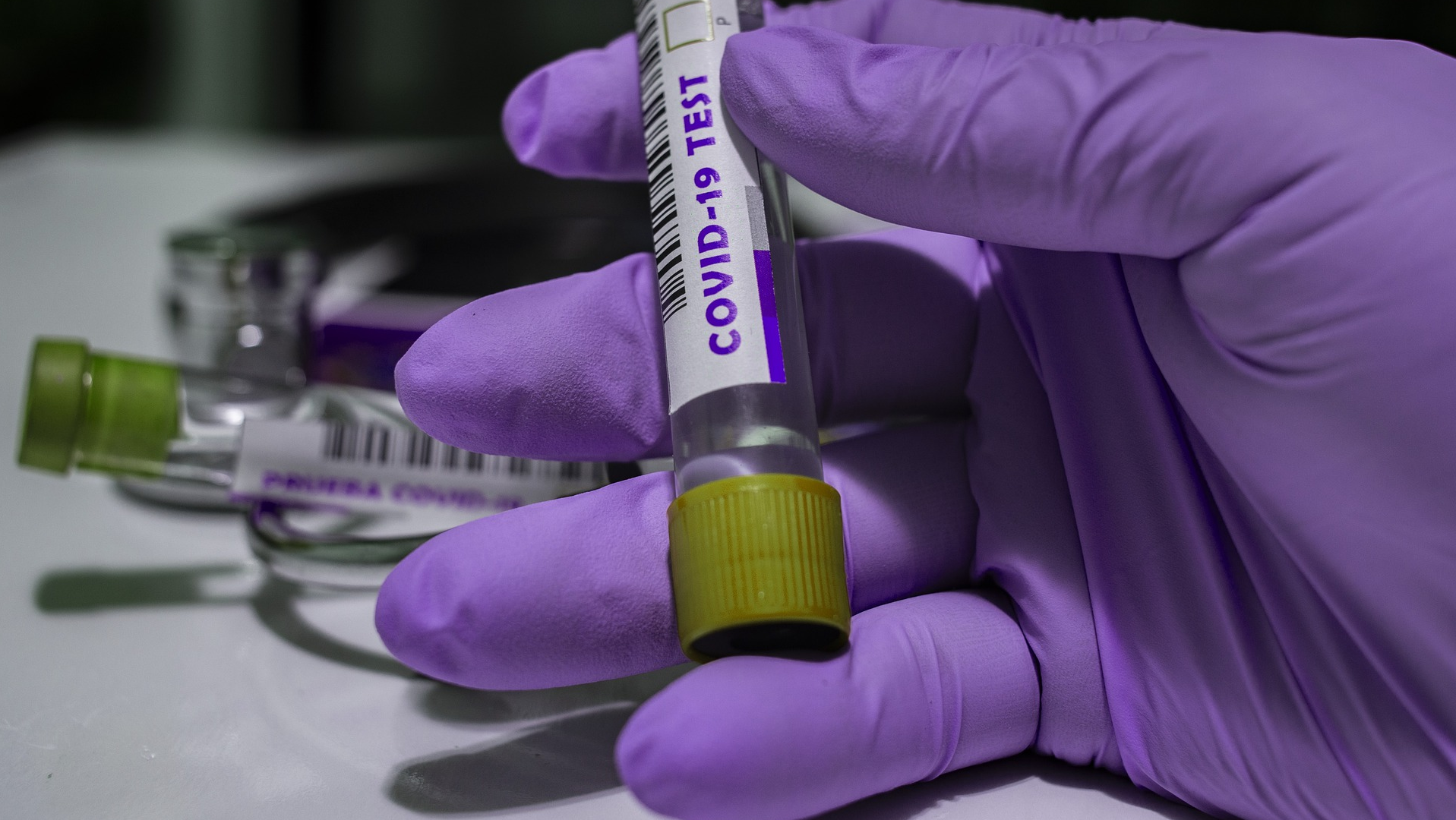 Image by fernando zhiminaicela from Pixabay