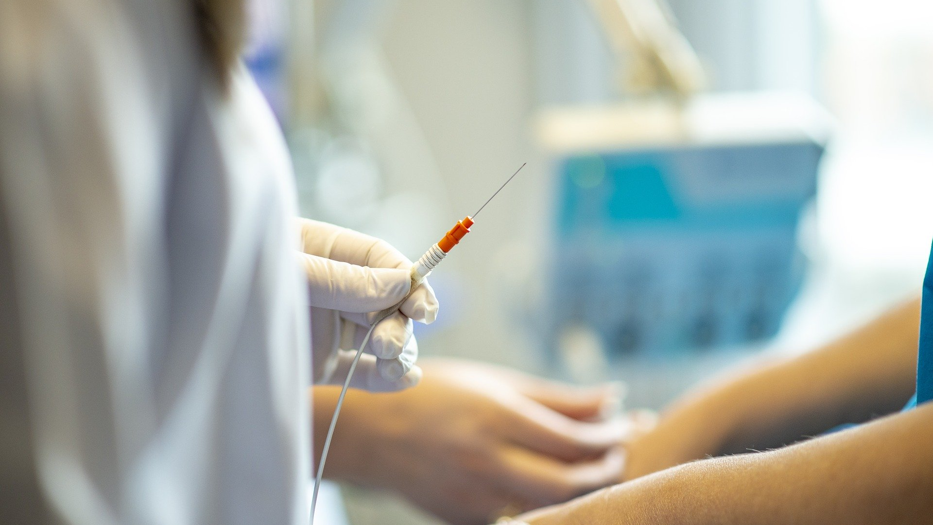 Image by fernando zhiminaicela from Pixabay