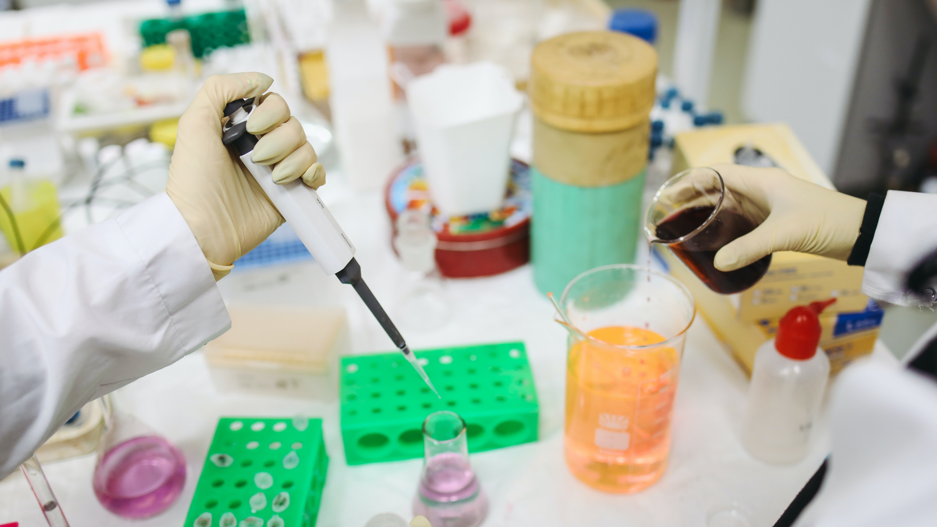 Photo by Polina Tankilevitch from Pexels