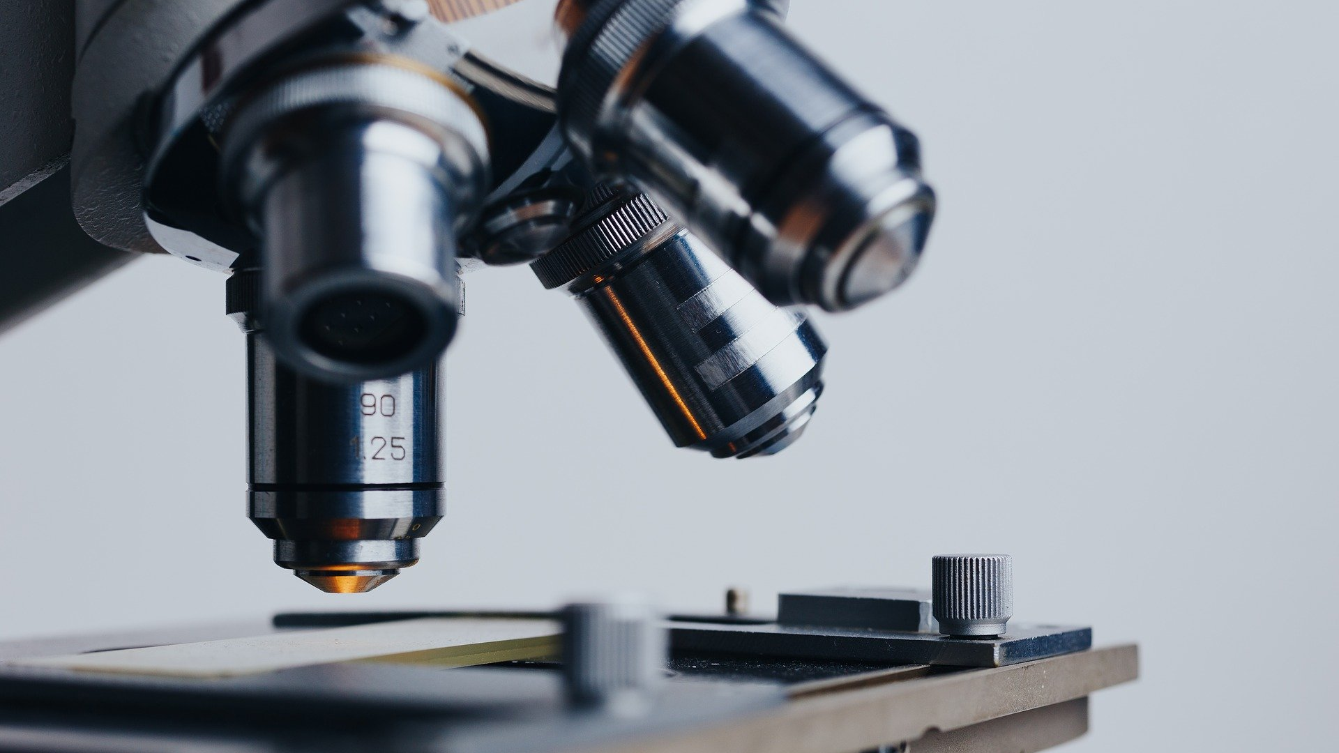 Image by Konstantin Kolosov from Pixabay