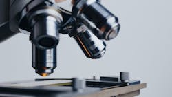 Image by Konstantin Kolosov from Pixabay Image by Konstantin Kolosov from Pixabay