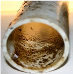Figure 1: 579 x 326 magnification biofilm on medical device Figure 1: 579 x 326 magnification biofilm on medical device
