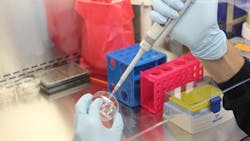 Image by mwooten from Pixabay Image by mwooten from Pixabay