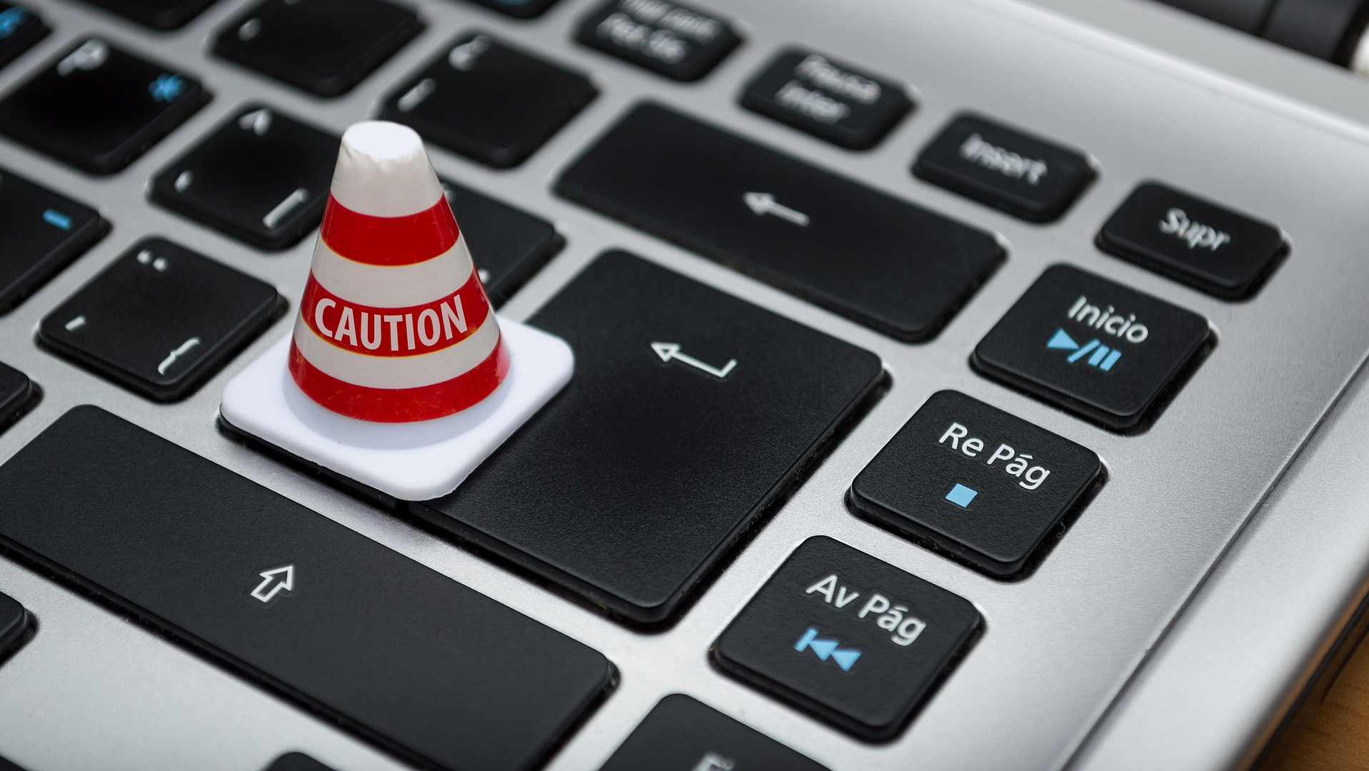 Image by Fernando Arcos from Pixabay