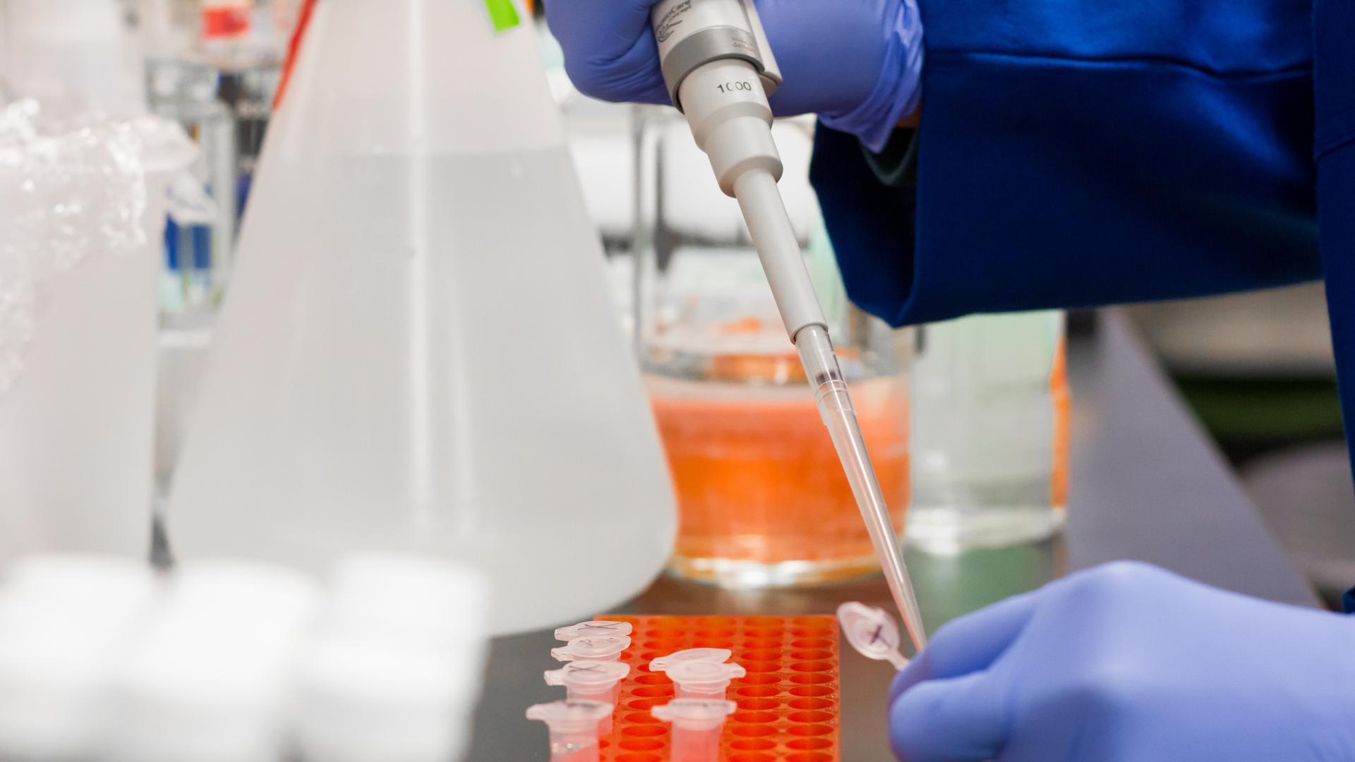 Photo by Martin Lopez from Pexels