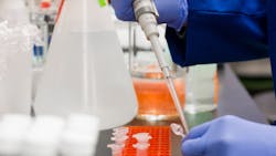 Photo by Martin Lopez from Pexels Photo by Martin Lopez from Pexels