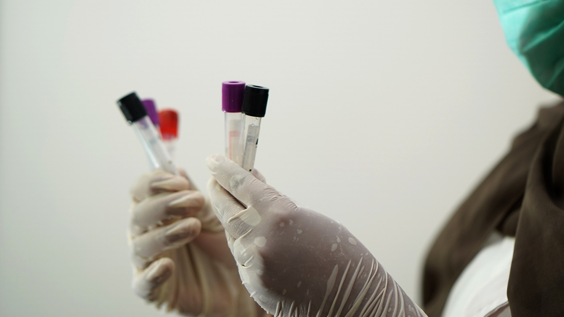 Image by Shameer Pk from Pixabay