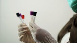 Image by Shameer Pk from Pixabay Image by Shameer Pk from Pixabay