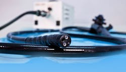 Ecg Primary 5f903c073f127 Ecg Primary 5f903c073f127