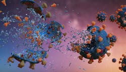 Ip Primary 5f8d9852c7904 Ip Primary 5f8d9852c7904