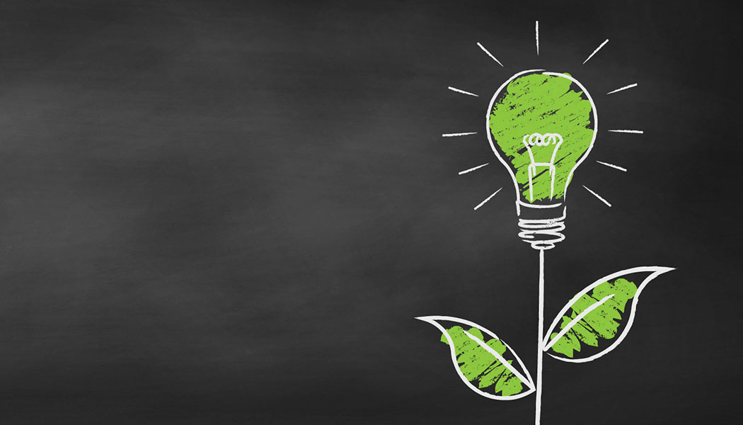 Sf Primary 5f91970538e7b