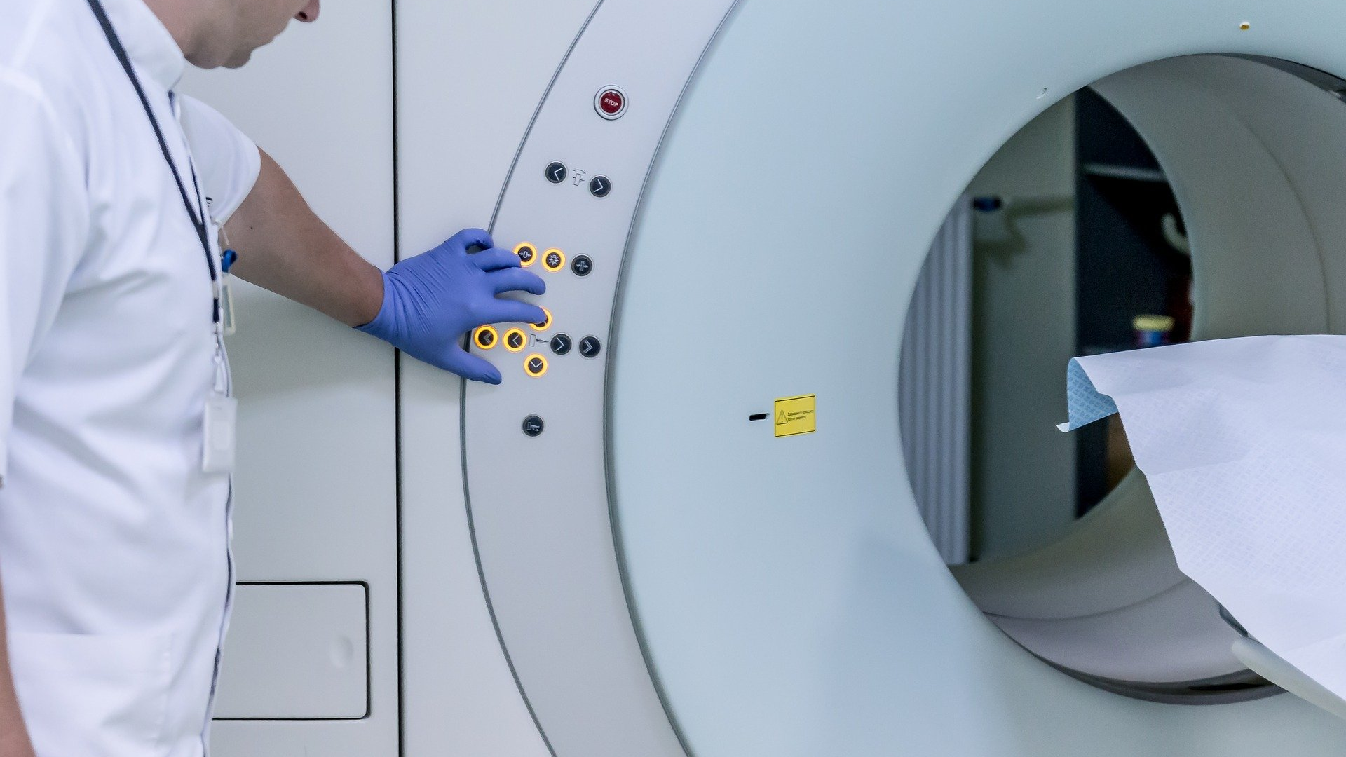 Image by Michal Jarmoluk from Pixabay