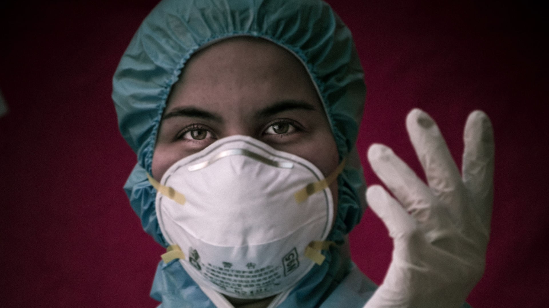 Photo by hosein zanbori on Unsplash