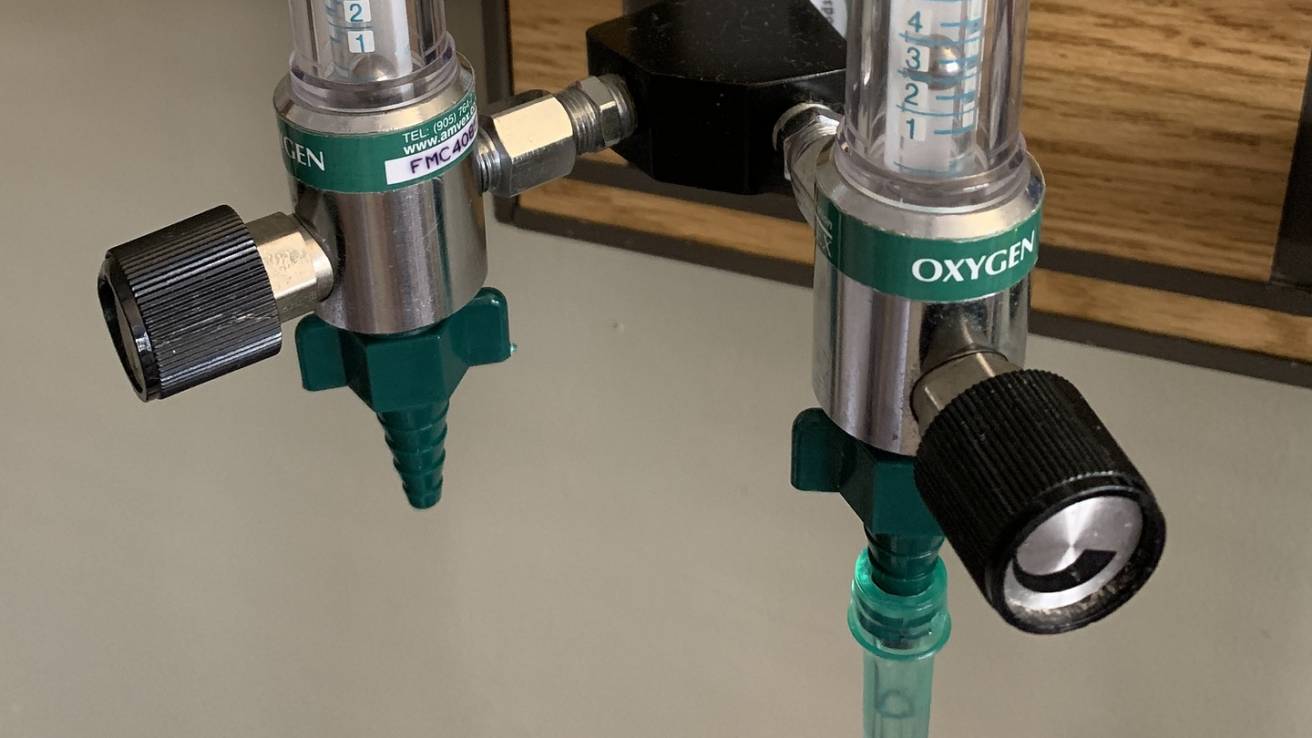 Image by EclecticVenus from Pixabay