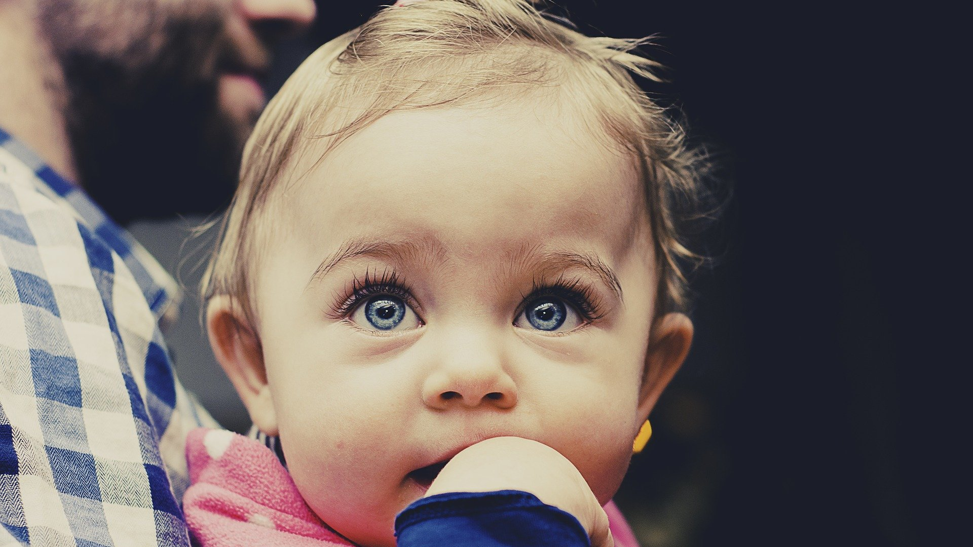 Image by tookapic from Pixabay