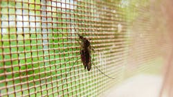 Image by PublicDomainPictures from Pixabay Image by PublicDomainPictures from Pixabay