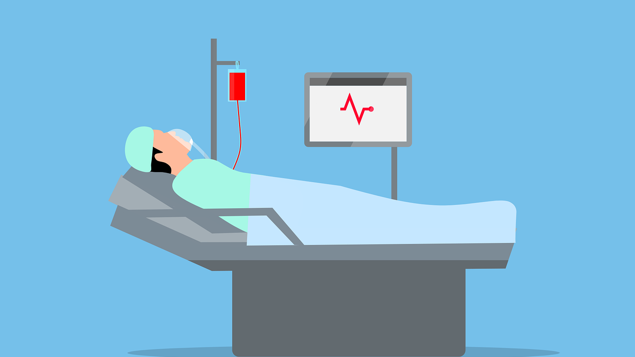 Image by mohamed Hassan from Pixabay