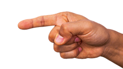 Image by truthseeker08 from Pixabay Image by truthseeker08 from Pixabay