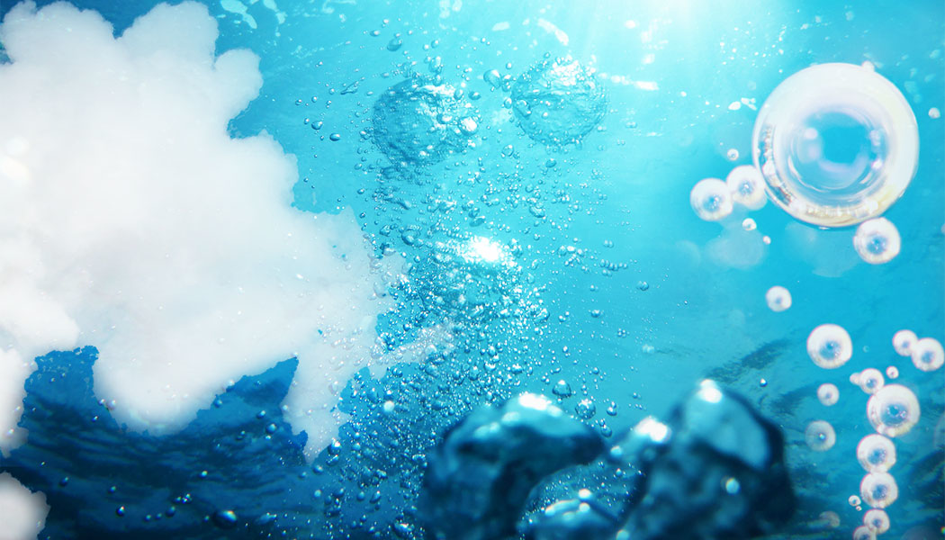 Ip Primary 5fb2de1a6df2d