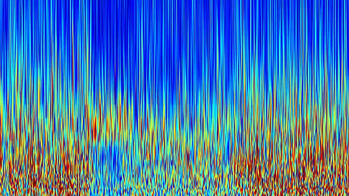 Photo courtesy of NIH