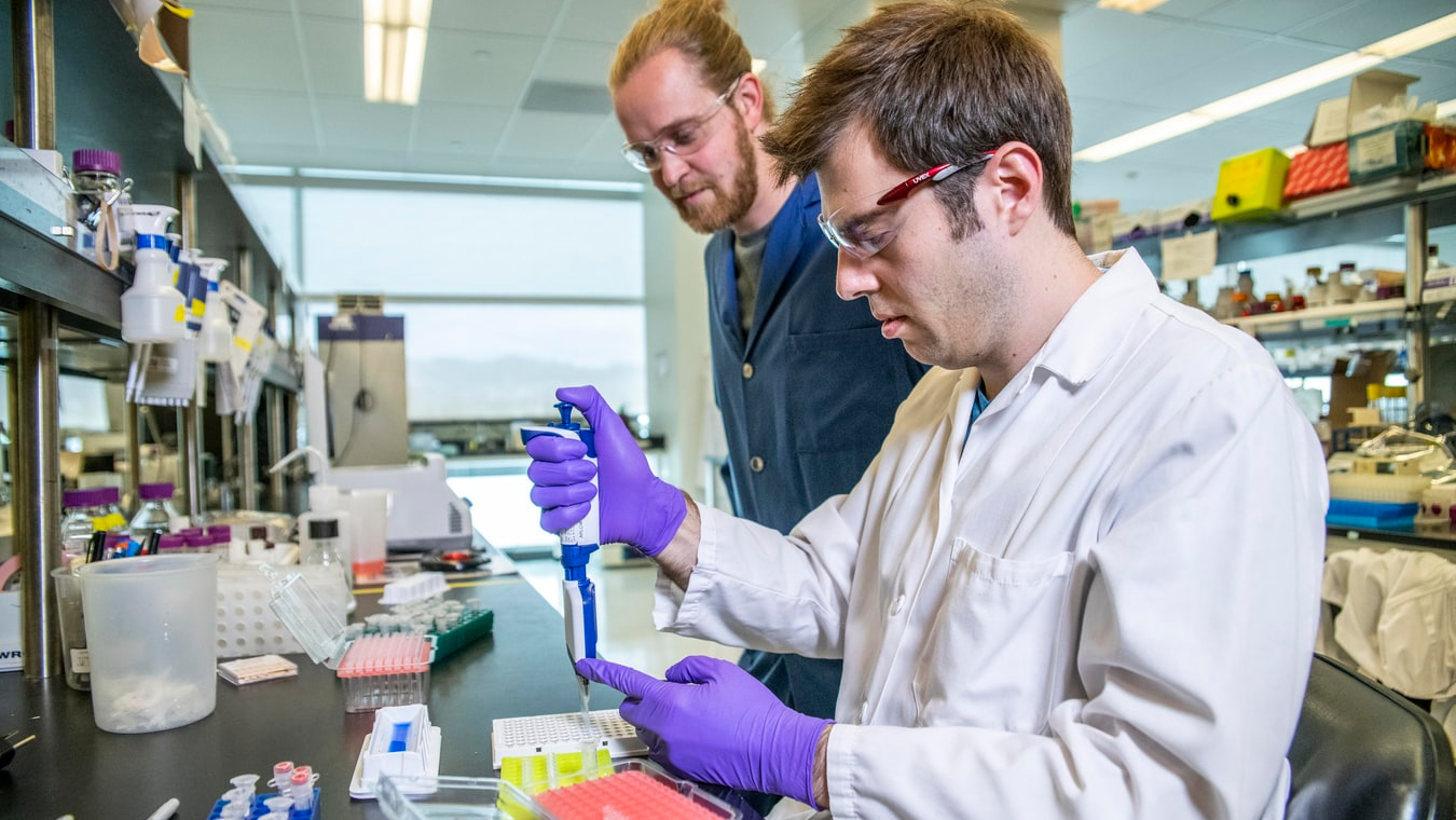 Photo by Science in HD on Unsplash