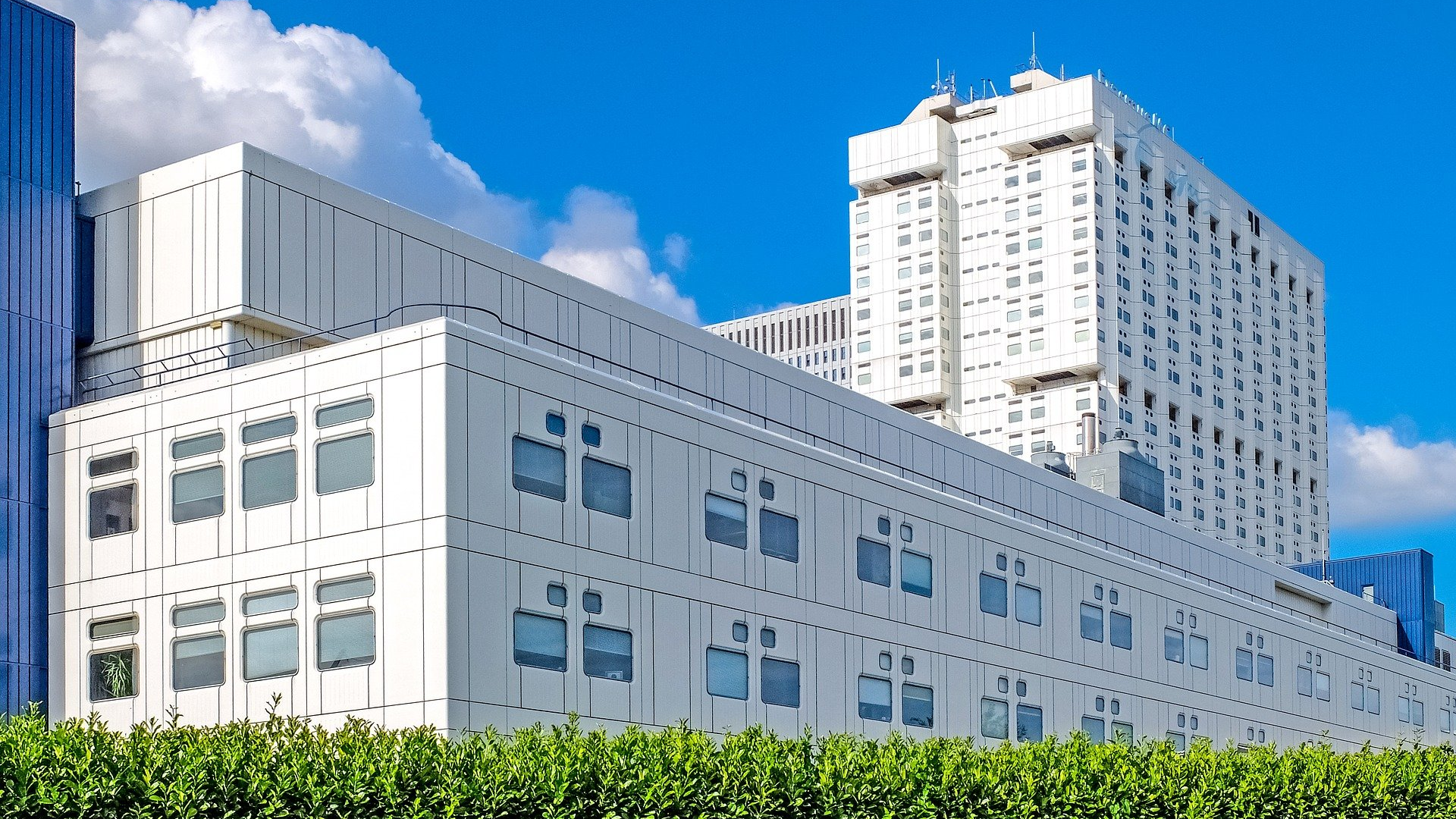 Image by djedj from Pixabay