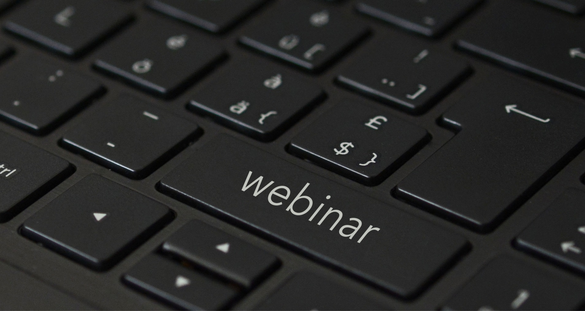 Image by Wynn Pointaux from Pixabay