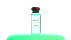 Photo by Artem Podrez from Pexels Photo by Artem Podrez from Pexels