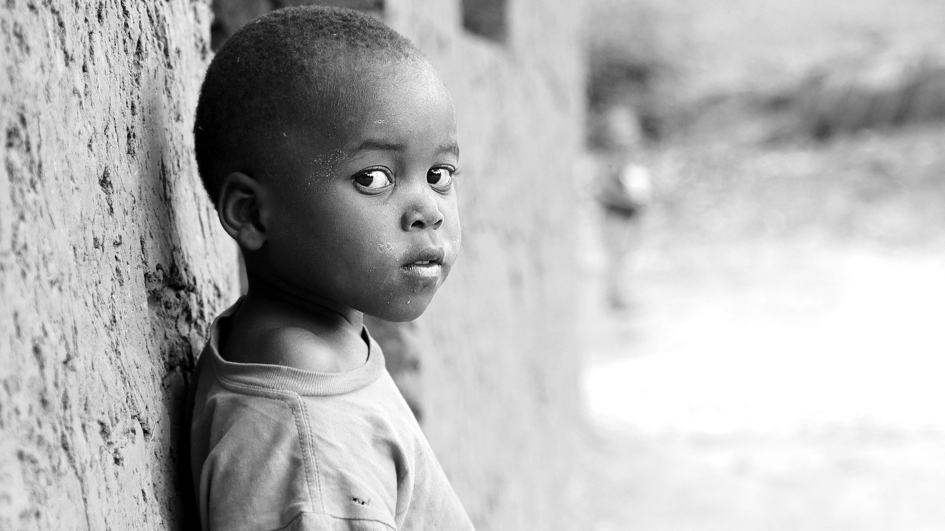 Image by Charles Nambasi from Pixabay