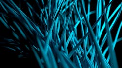 Image by Alejandro Piñero Amerio from Pixabay Image by Alejandro Piñero Amerio from Pixabay