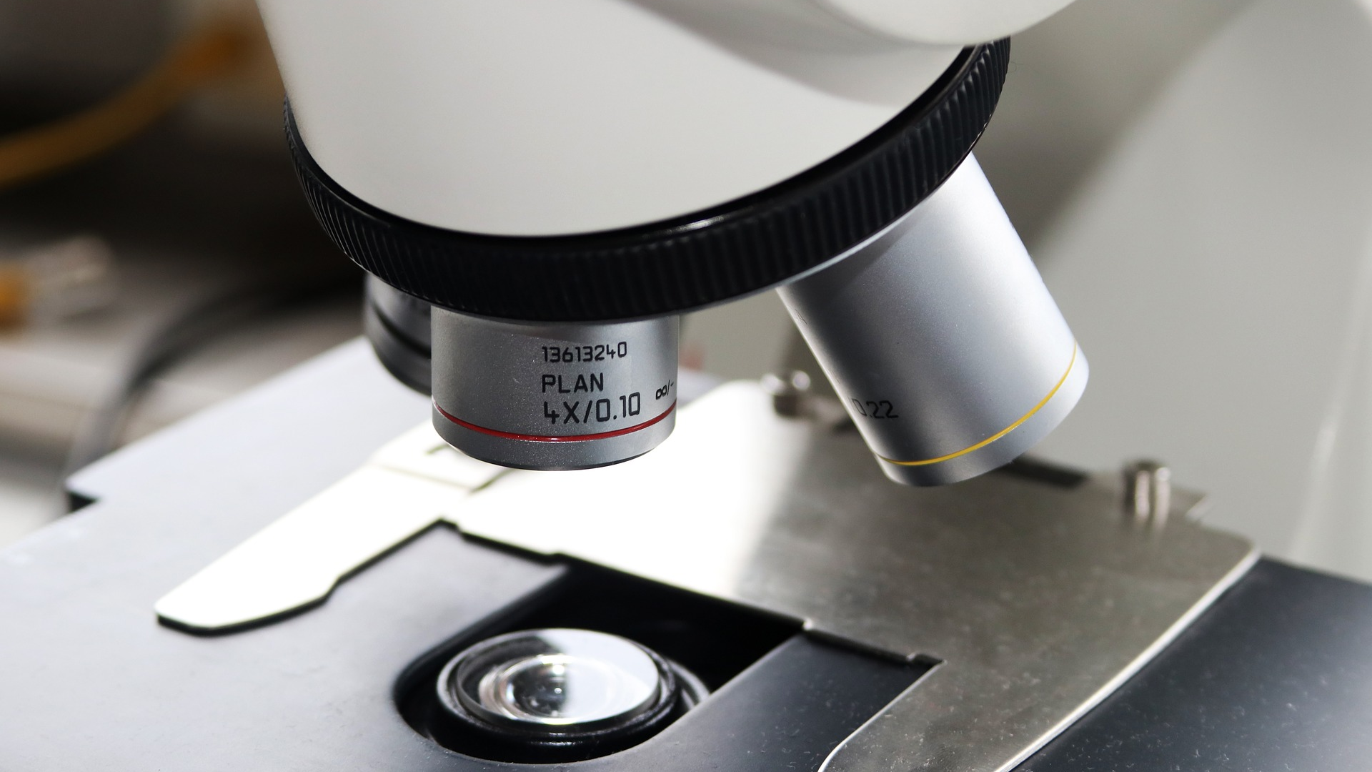 Image by kermy from Pixabay