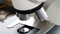 Image by kermy from Pixabay Image by kermy from Pixabay