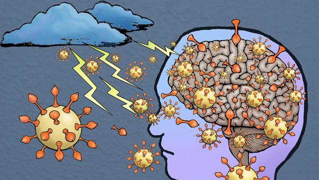 Photo courtesy of NIH