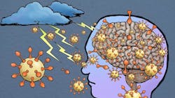 Photo courtesy of NIH Photo courtesy of NIH