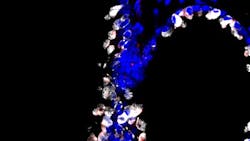 Photo courtesy of Rutgers Cancer Institute of New Jersey Photo courtesy of Rutgers Cancer Institute of New Jersey