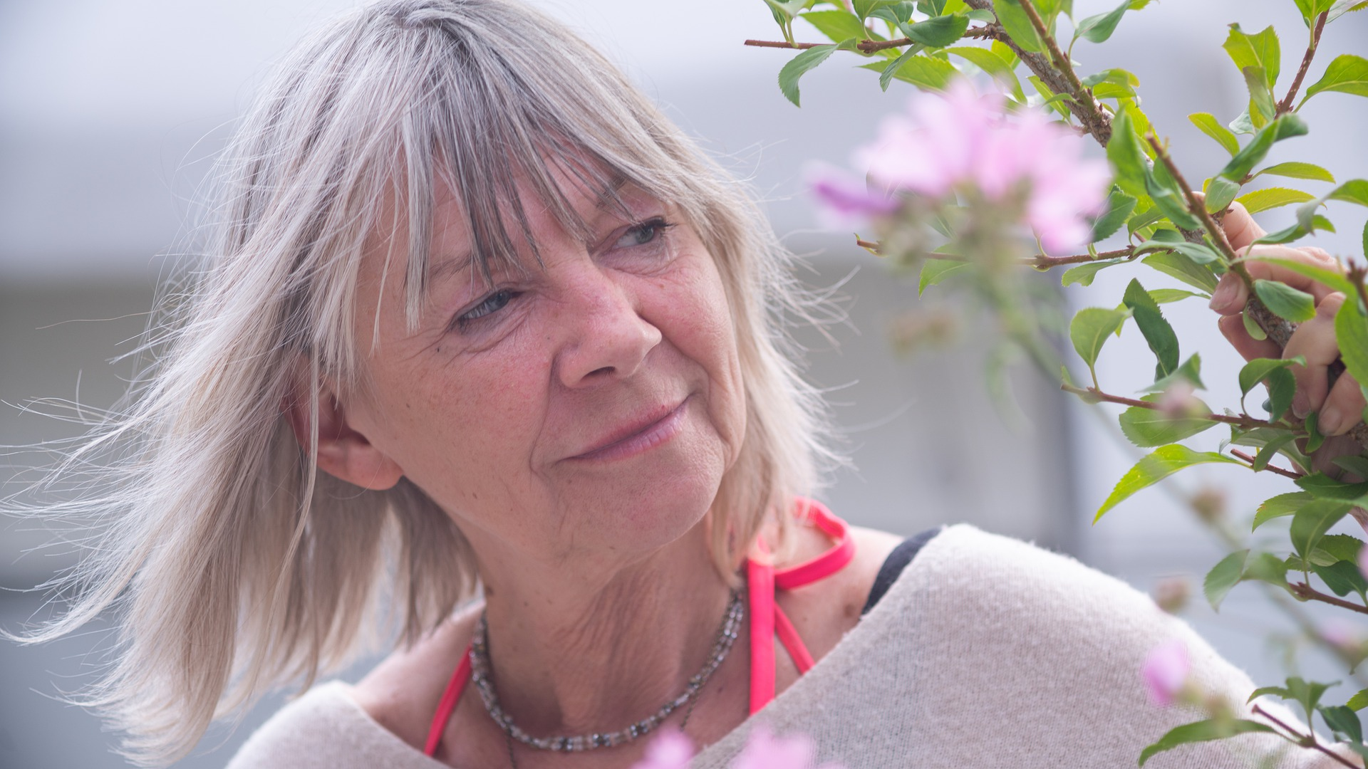 Image by gabananda from Pixabay