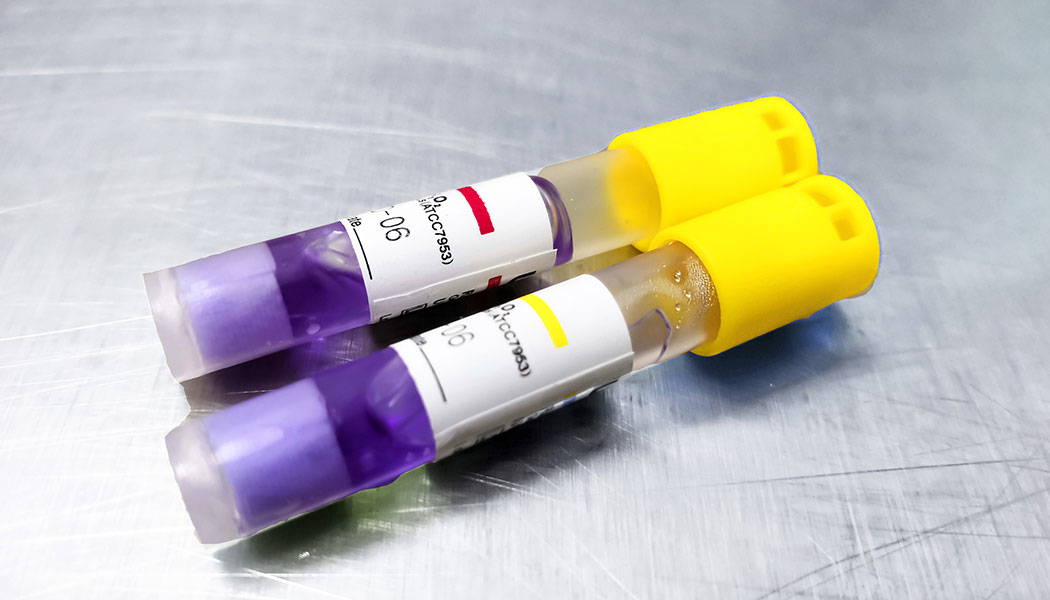 Cs Primary 5fd7b1e4a8d8f