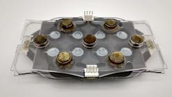 Photo courtesy of Binghamton University, SUNY Photo courtesy of Binghamton University, SUNY