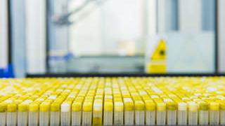 Az R D Image 5ff33ad79b345