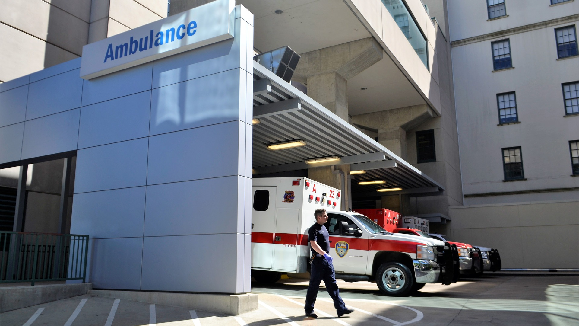 Image by F. Muhammad from Pixabay