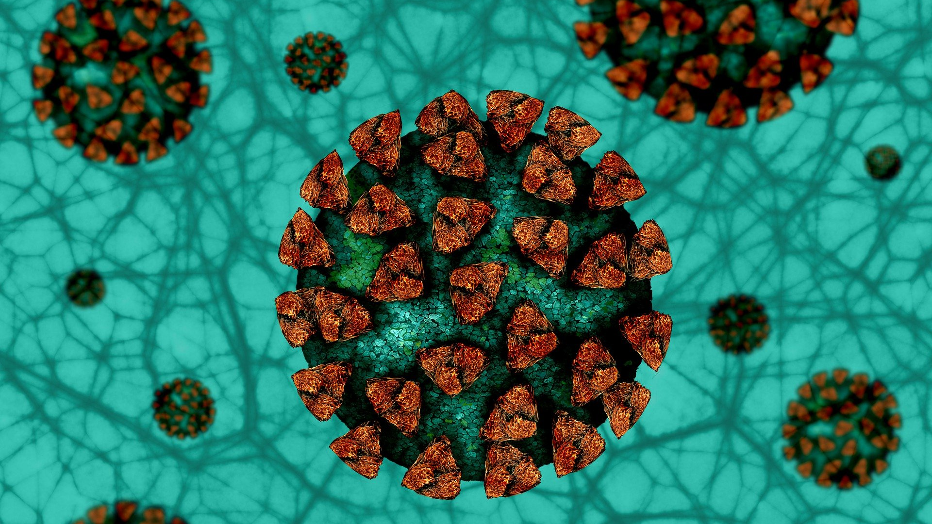 Image by Gerd Altmann from Pixabay