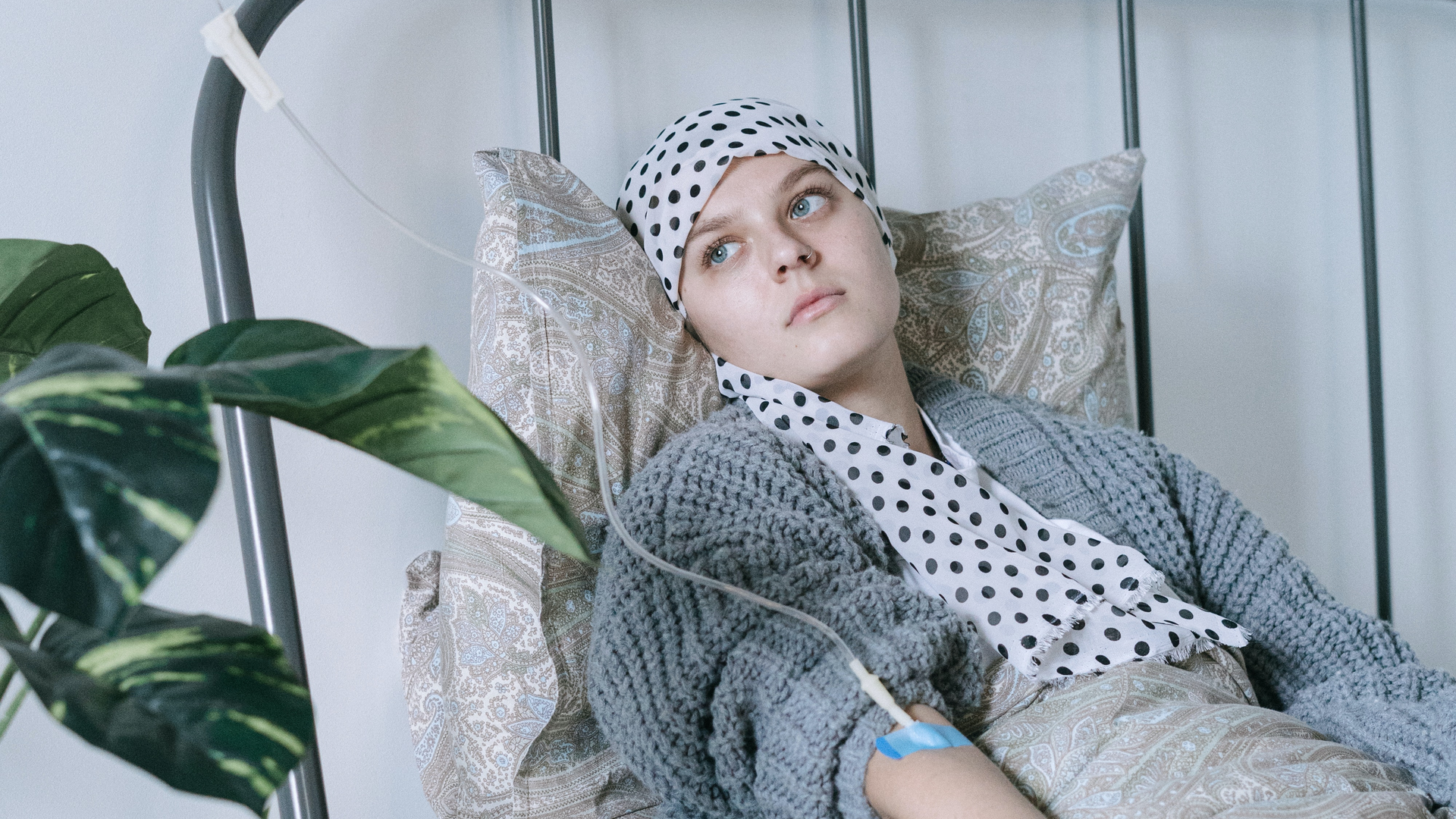 Photo by Ivan Samkov from Pexels