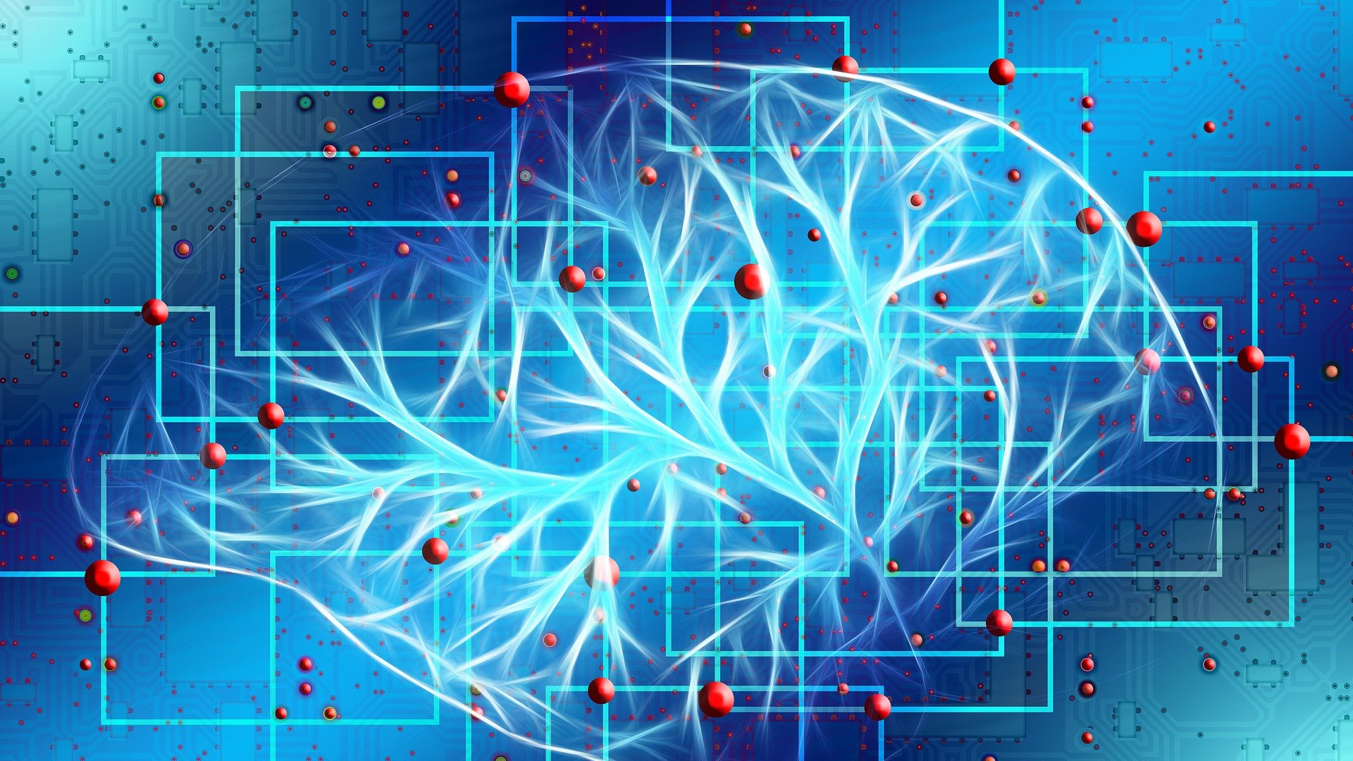 Image by Gerd Altmann from Pixabay